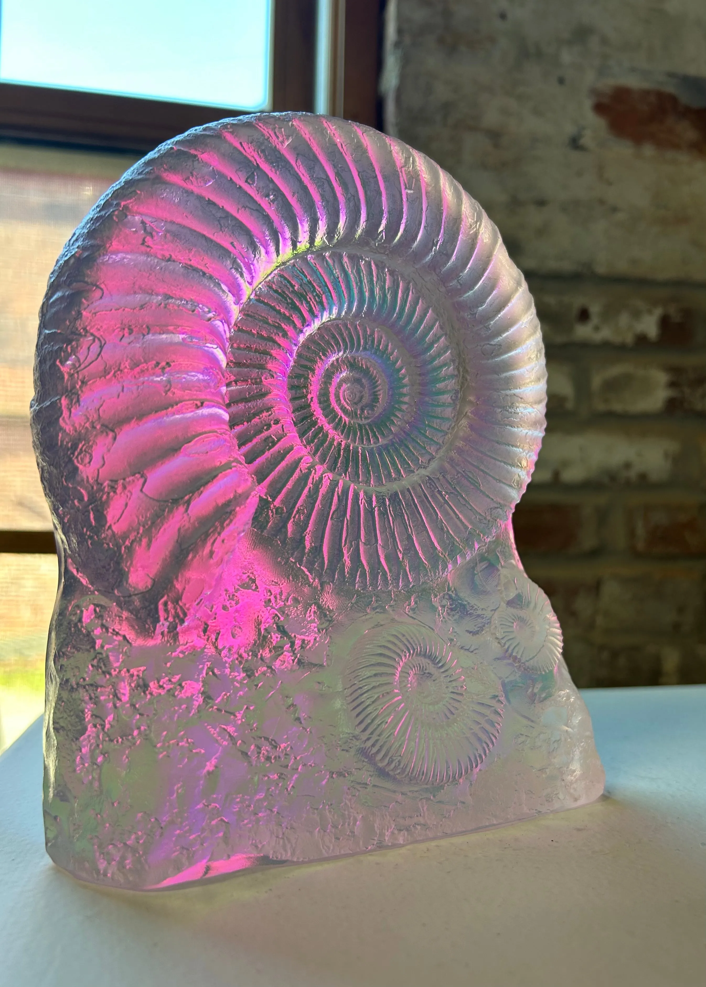Aural Ammonite Sculpture “Medium size”