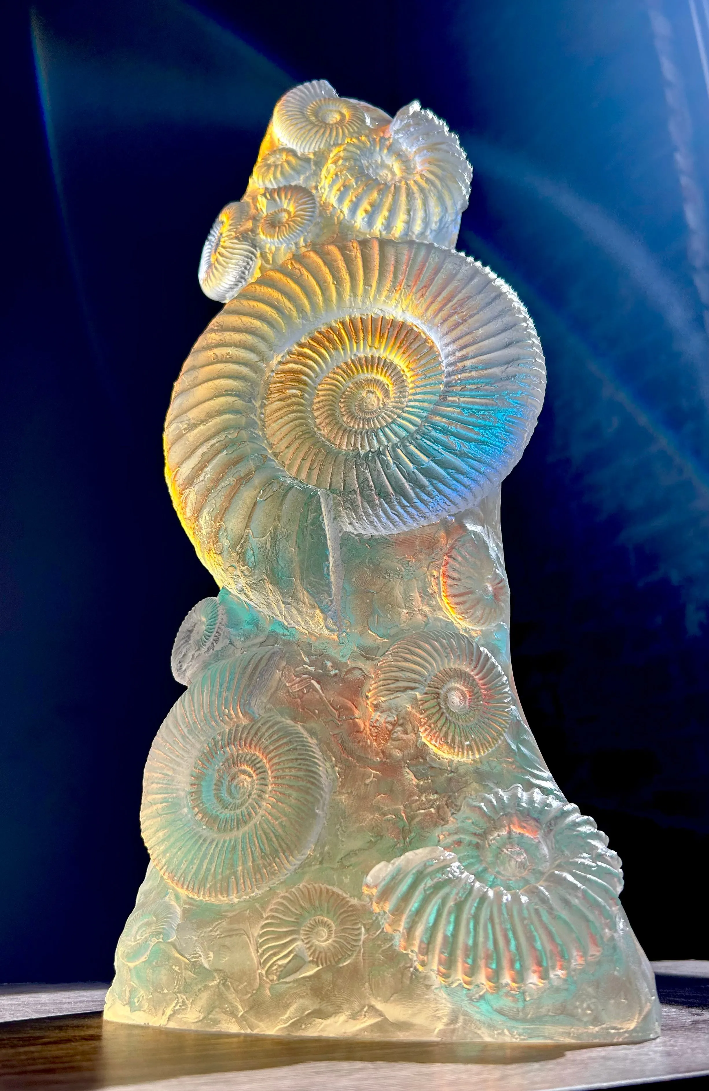 Aural Ammonite Sculpture