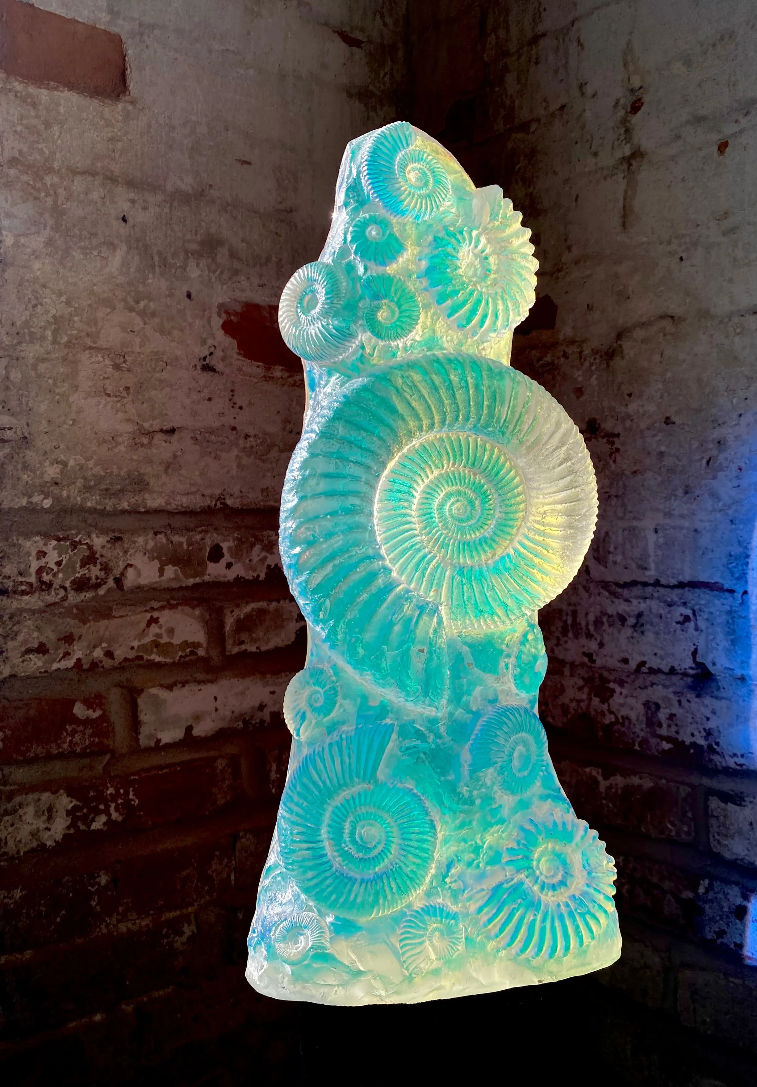 Aural Ammonite Sculpture