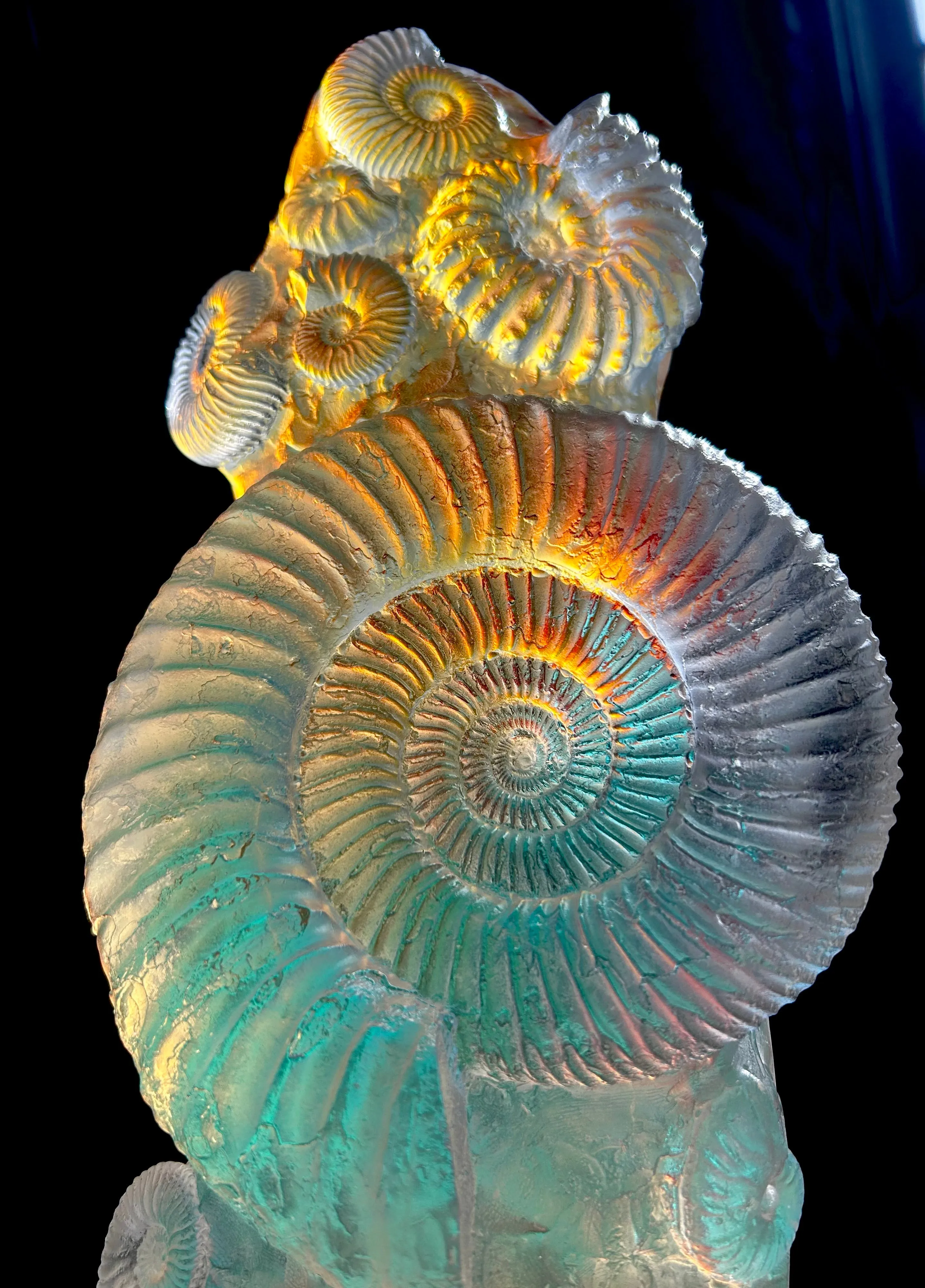 Aural Ammonite Sculpture