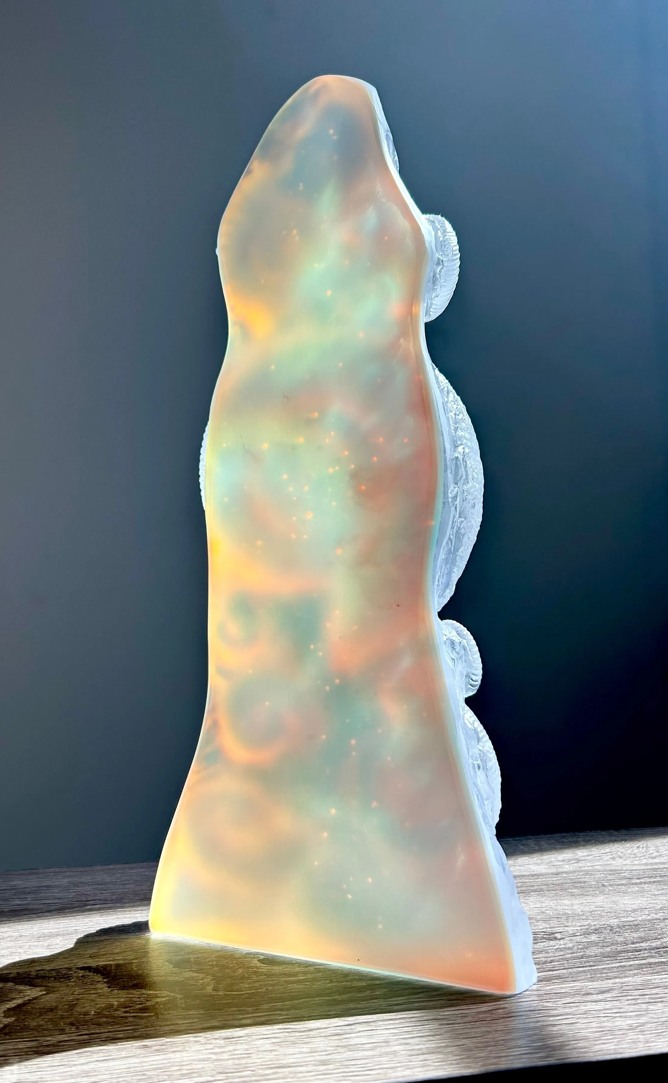Aural Ammonite Sculpture