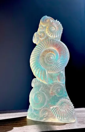 Aural Ammonite Sculpture