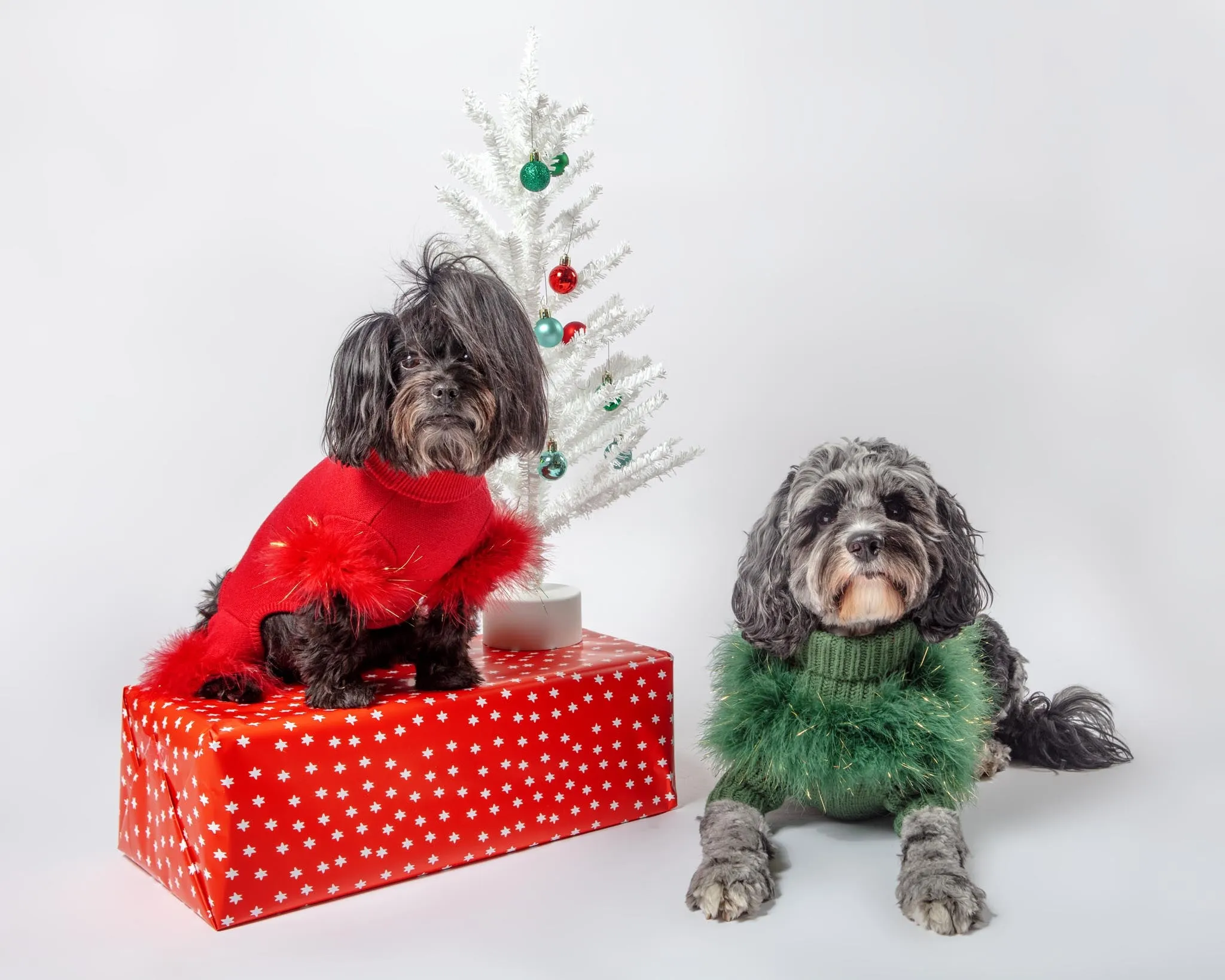 Christian Cowan Holiday Glitz Jumper Dog Sweater