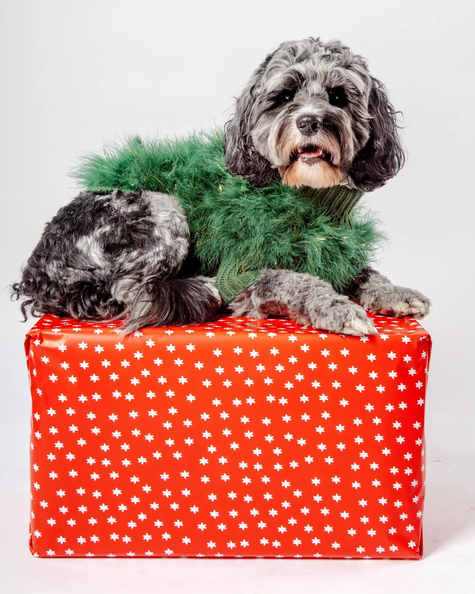 Christian Cowan Holiday Glitz Jumper Dog Sweater