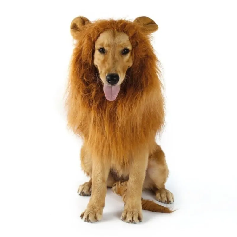 Majestic Dog's Lion Mane Costume
