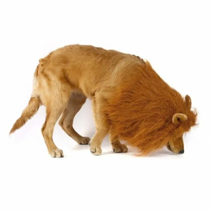 Majestic Dog's Lion Mane Costume
