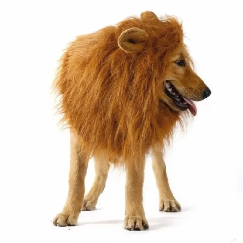 Majestic Dog's Lion Mane Costume
