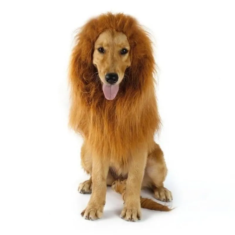 Majestic Dog's Lion Mane Costume