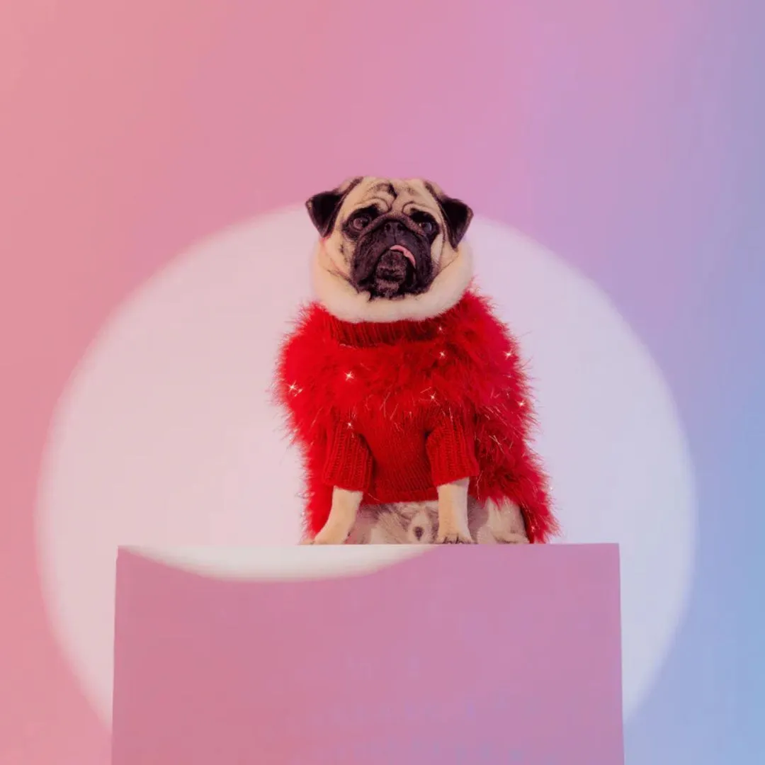 Maxbone x Christian Cowan - Holiday Glitz Jumper