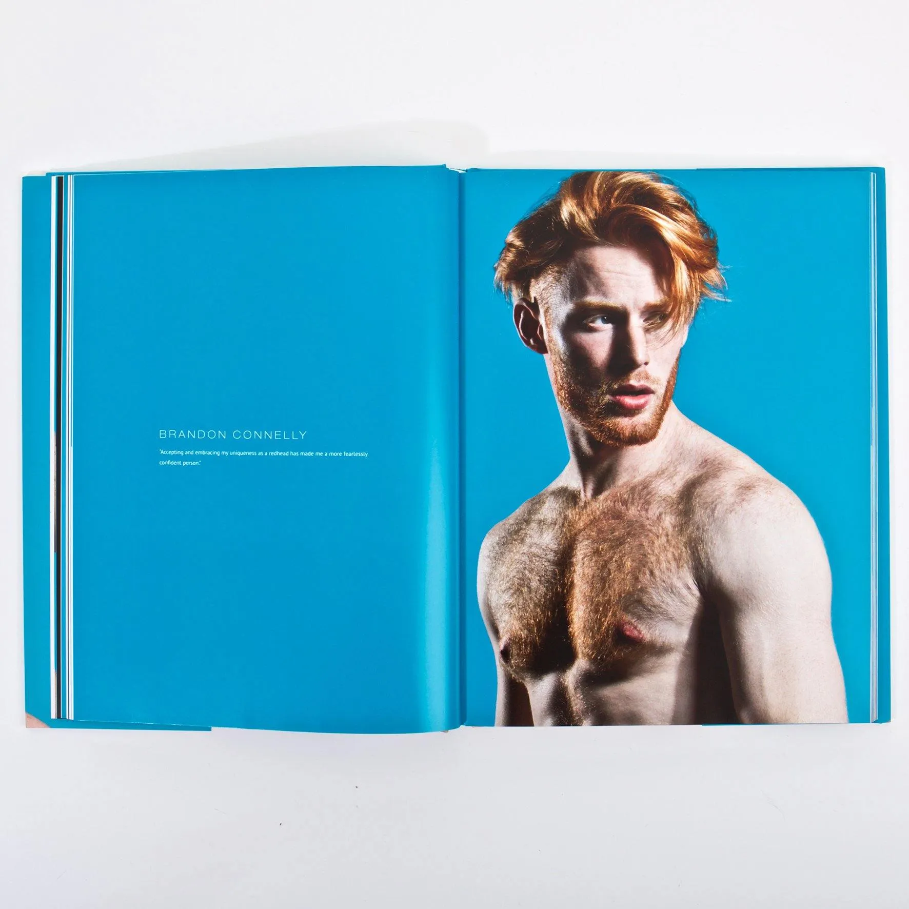 Red Hot 100 Art Book - Limited Edition   Free Shipping