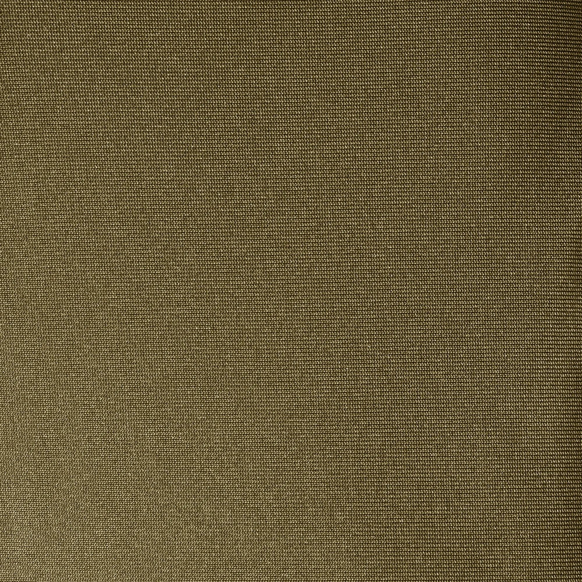Women's hooded sweatshirt Pear in husk green